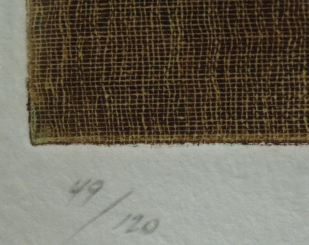 Mikulas Kravjansky Life Passage 1990 Hand-Signed Etching Lithograph Framed