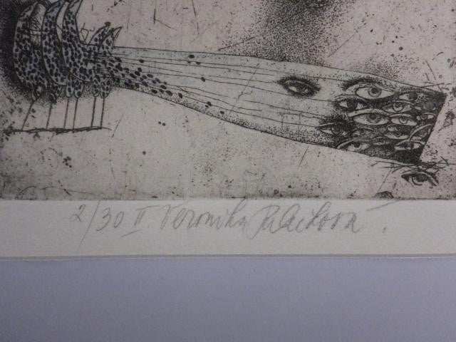 Veronika Paleckova "Peacock And Figure" Signed Etching Limited 30 Framed Art