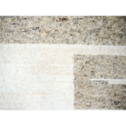 10'2"X13'9"Earth Tone Colors Natural Wool Hand Knotted Oriental Rug