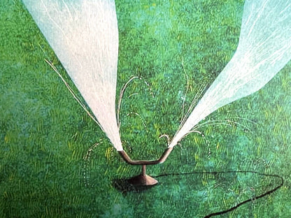 David Hockney Lithograph