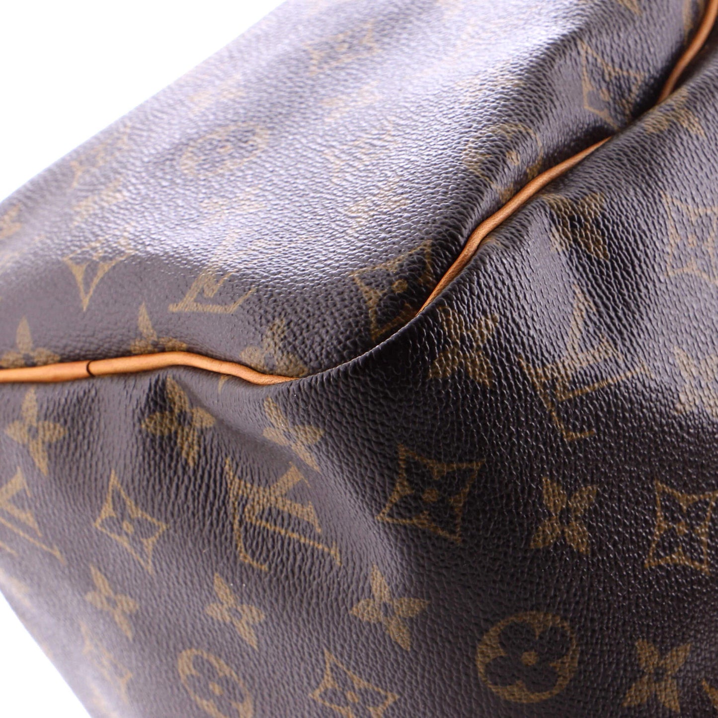 Louis Vuitton Speedy Handbag Monogram Canvas 30