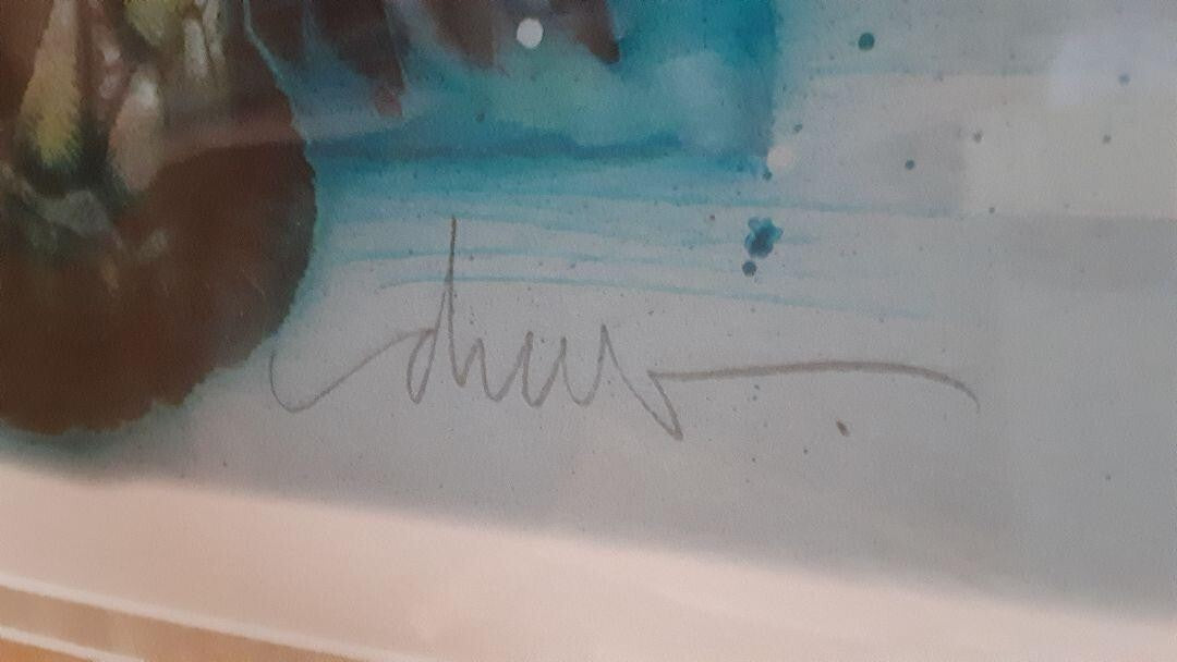 Framed Drew Struzan Lost World GICLEE Edition 30/ 250 Autographed