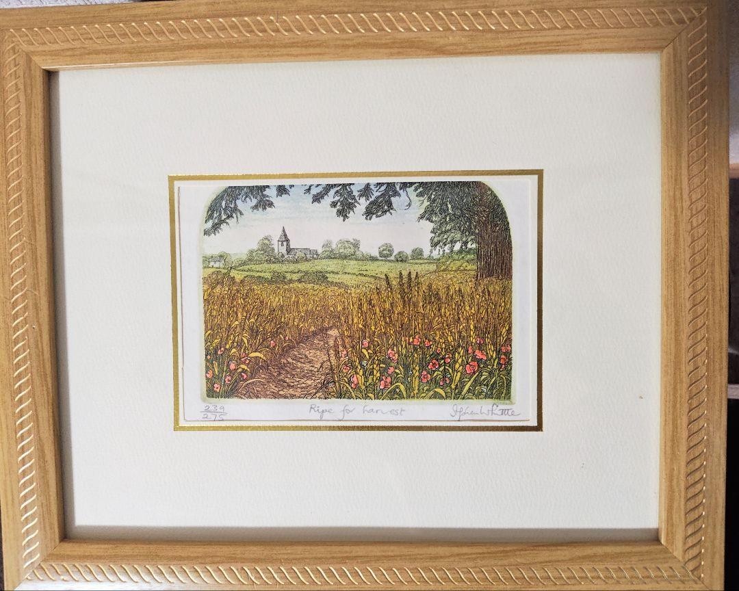 Stephen Whittle "Ripe For Harvest" Etching Signed Limited 239/275 Framed Uk Land