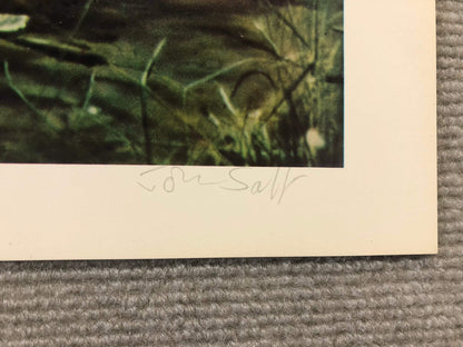John Salt Pioneer Pontiac Signed " Offset Lithograph Realism Mu