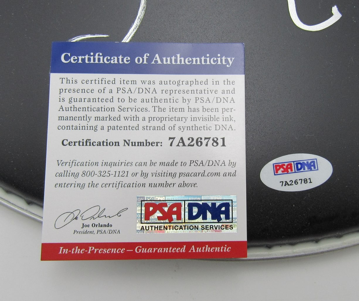 Alice Cooper Singer Signed/Auto Drum Head W/Self Portrait Sketch Psa/Dna 200969