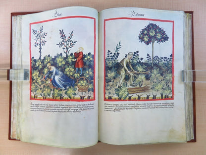 Tacuinum Sanitatis In Medicina. Codex Vindobonensis Series Nova 2644 Facsimile