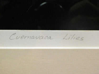 Walter Bachinski Still Life "Cuernavaca Lillies" Etching With Aquatint Signed