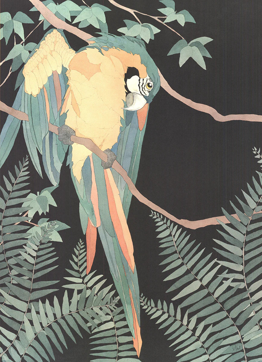 Dan Goad Macaw " Offset Lithograph Contemporary