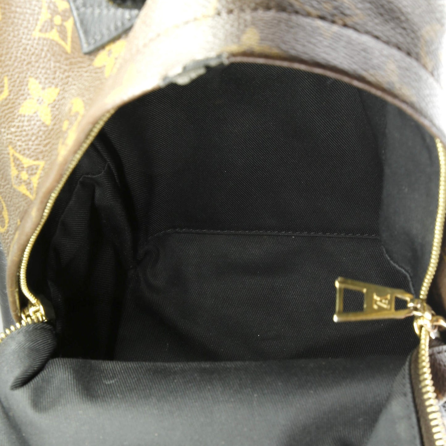 Louis Vuitton Palm Springs Backpack Monogram Canvas Pm