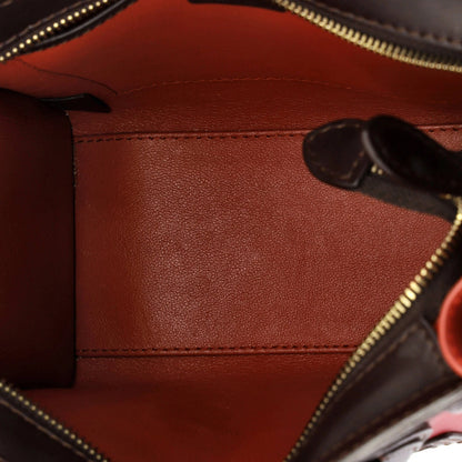 Nano Celine Tricolor Luggage Bag Leather