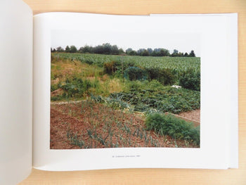 Simone Nieweg - Landshaften Und Gartenstucke