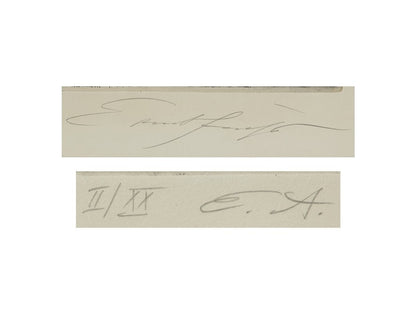 Ernst Fuchs Birth Of Venus Etching, Signed, Very Rare Ed.20, Fantastic Realism