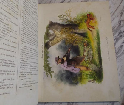 1844 Paris Comique 1St Edition Aubert Hand-Colored Lithographs Vellum Binding