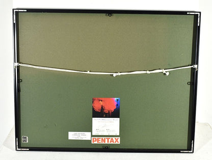 Carnival Mood Signed Framed 1987 By Original Sam Haskins