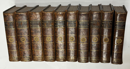 Bloch Marcus Elieser "Histoire Naturelle Des