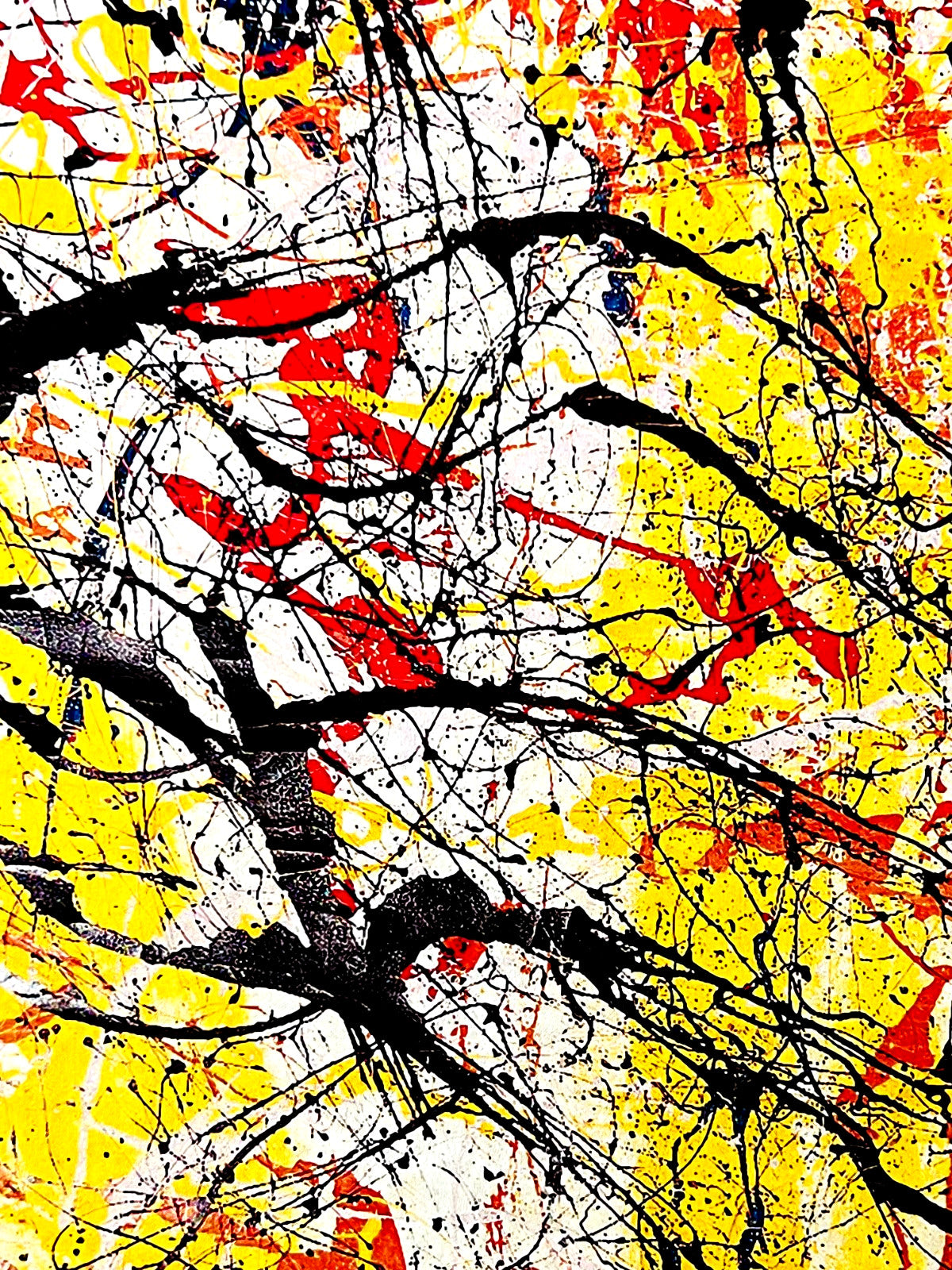 Jackson Pollock Action Painting Coa Signed Numbered In Pencil Limited Edition