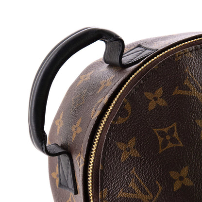 Louis Vuitton Palm Springs Backpack Monogram Canvas Pm
