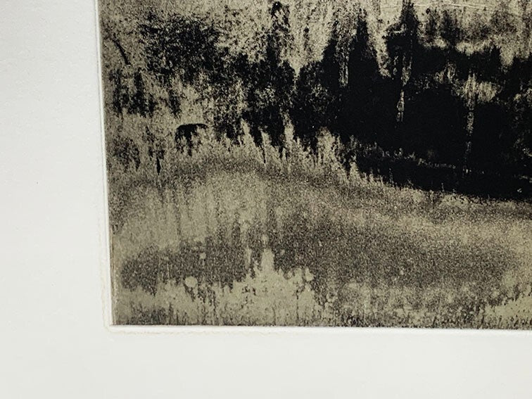Anish Kapoor "Blackness from Her Womb 6" Edition Autographed Framed