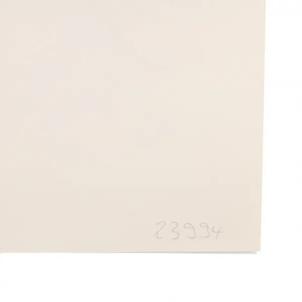 Kestner Gesellschaft Zeichnungen Exhibition Poster Cy Twombly 1976
