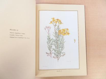 Flowering Plants Of The Eastern Goldfields Of Western Australia 1St Edition 1983