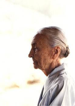 Wendy Lehman Georgia O'Keeffe 