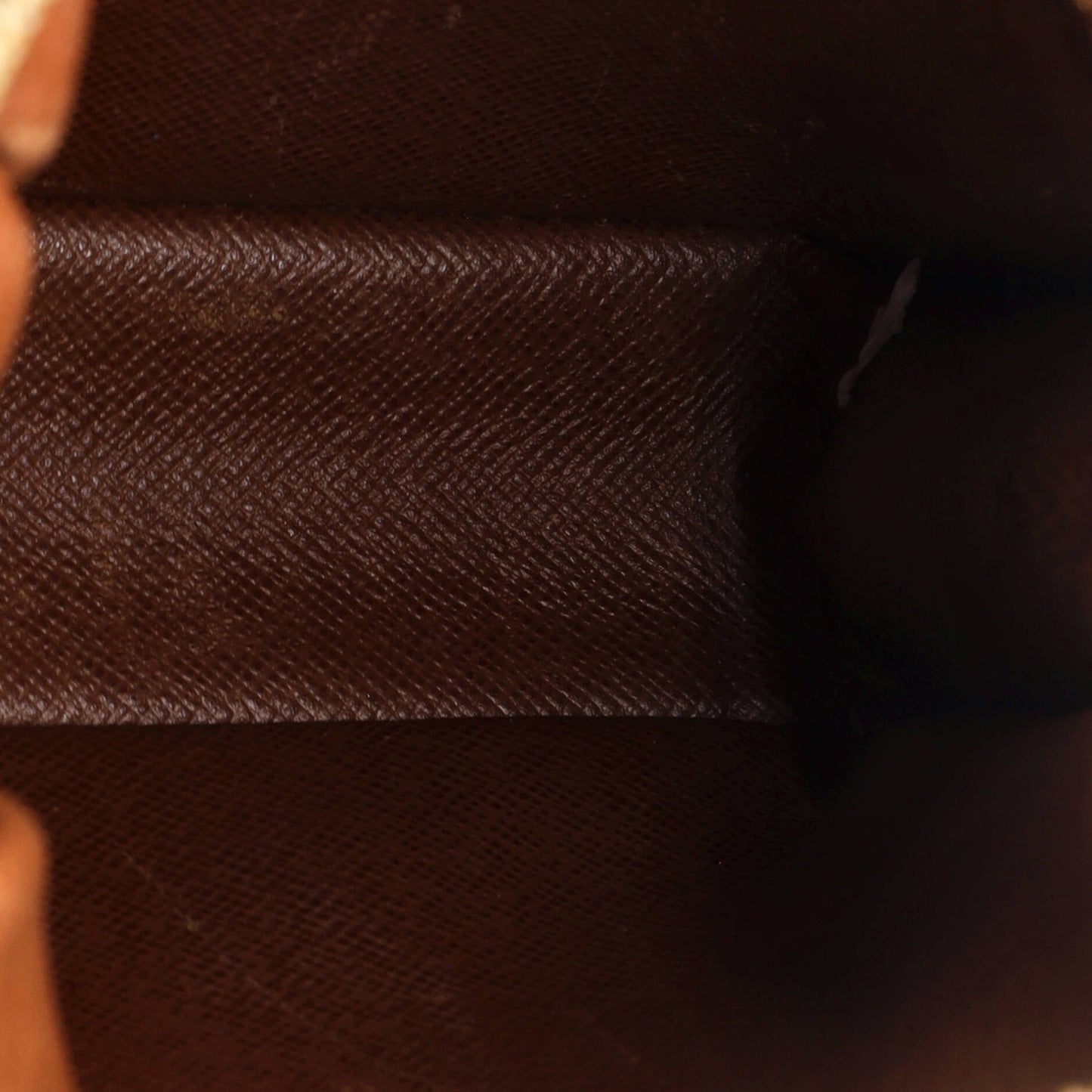 Louis Vuitton Danube Handbag Monogram Canvas