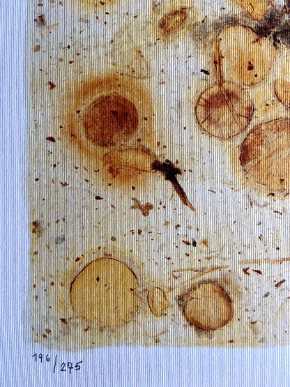 John Cage Lithograph Coa Signature And Stamp (Yoko Ono Bob Dylan)