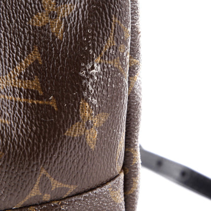 Louis Vuitton Palm Springs Backpack Monogram Canvas Mini