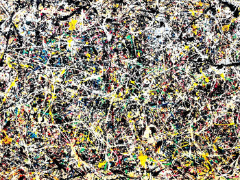 Jackson Pollock Action Painting Coa Signed Numbered A Hand 180