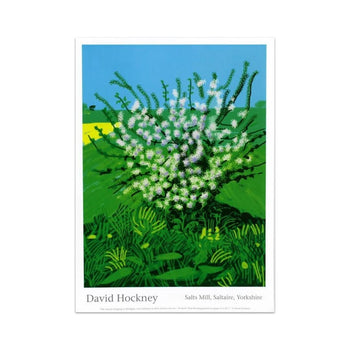David Hockney Original Exhibition Poster -30Th