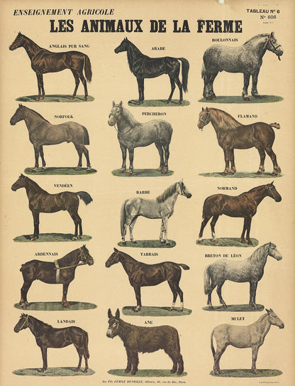 Emile Deyrolle Les Animaux De La Ferme - Les Chevaux " Lithograph 1