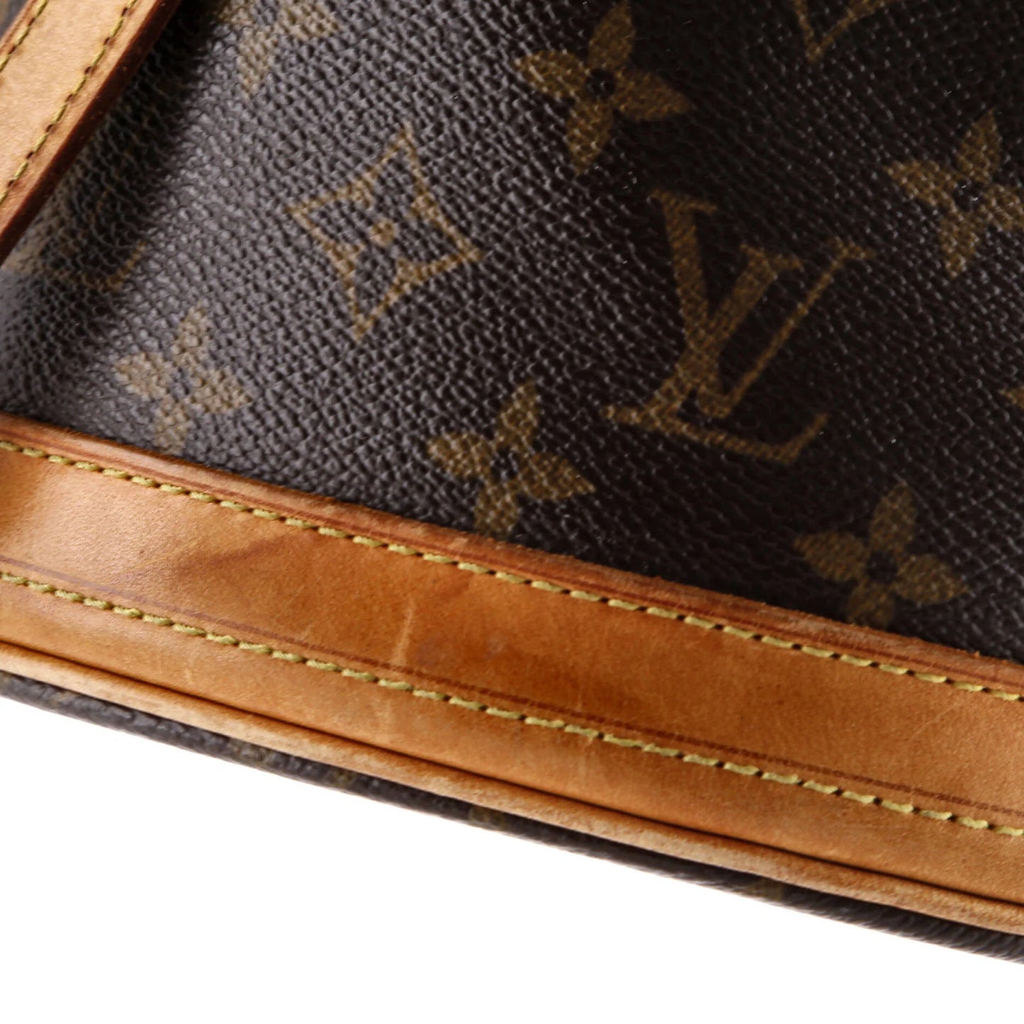 Louis Vuitton Petit Bucket Bag Monogram Canvas