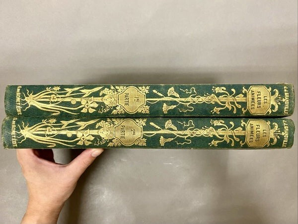 Les Fleurs Animees / J. J. Grandville Illustrated Book Two Volumes 1847