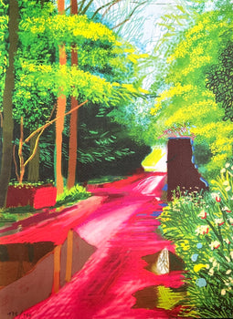 David Hockney Coa Lithograph Signed Op Hand