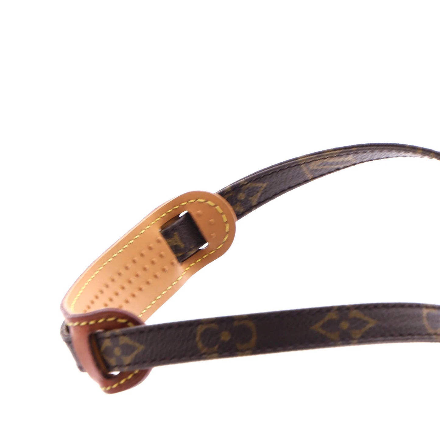 Louis Vuitton Amazone Bag Monogram Canvas Mini