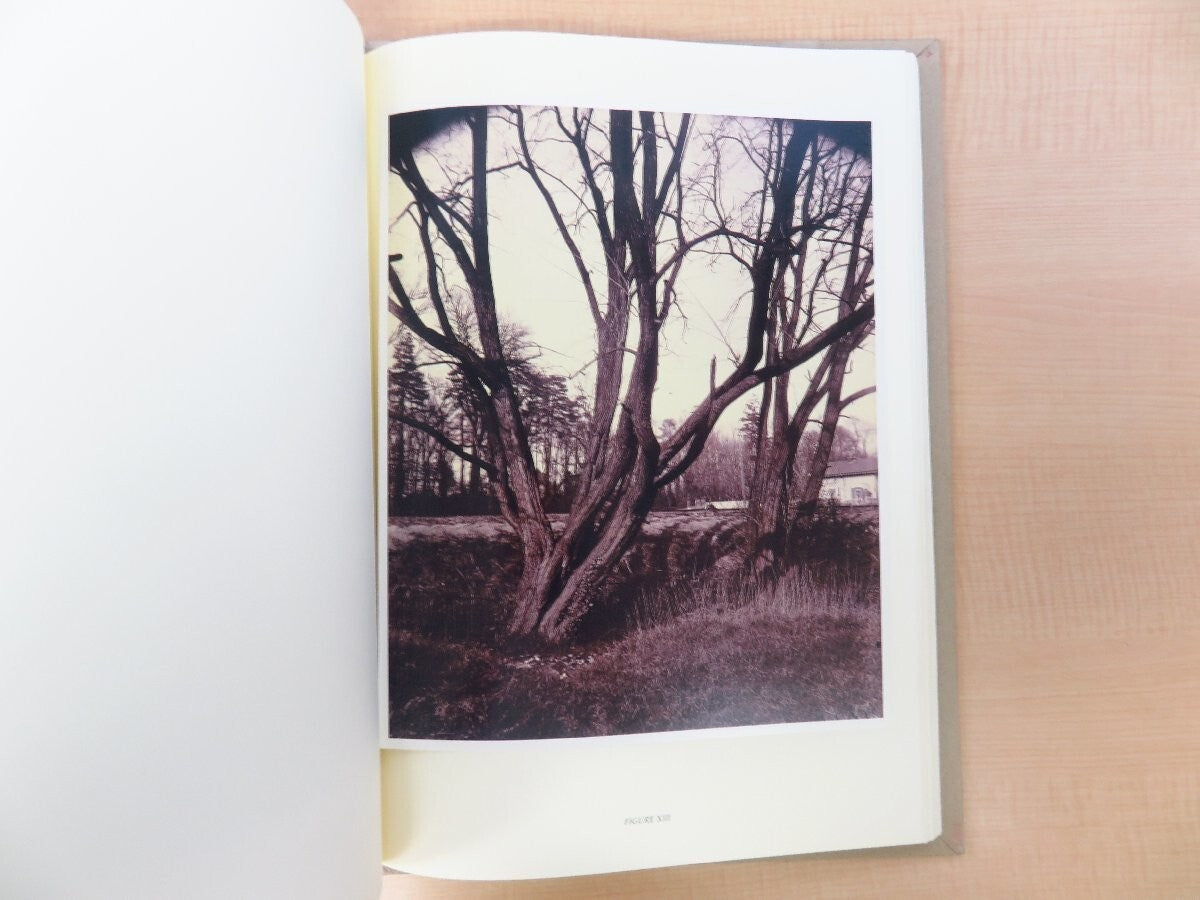 Eugene Atget'S Trees 2003 1St Edition Limited 982/1000 Large Format Photography