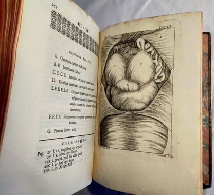 1751/1755 Acta Helvetica Vol.1-2 Basel Scientific Journal Bernoulli Engravings