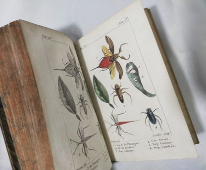 Tigny Histoire Naturelle Des Insectes Vol 4 Paris 1813 Handcolored Plates Rare