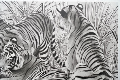 Beppe Spadacini (Italy) Original Silkscreen Print Save The Tigers Signed Framed
