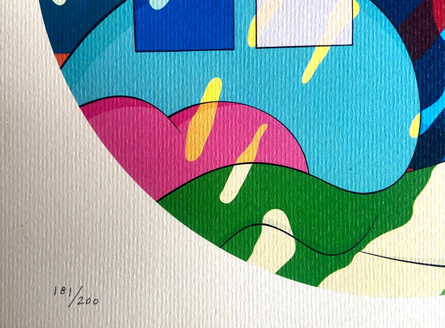 Kaws Lithograph Coa Limited Edition Numbered Mori-Art-Museum