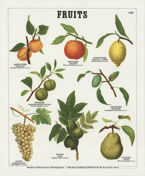 Emile Deyrolle Fruits (French) 