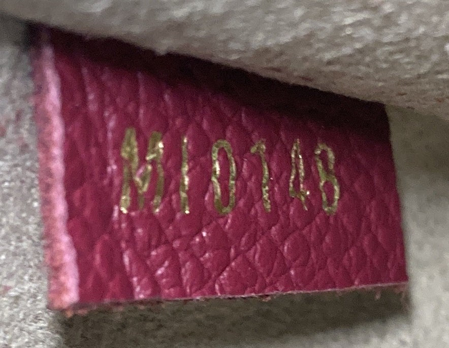 Louis Vuitton Clapton Handbag Damier And Leather Pm