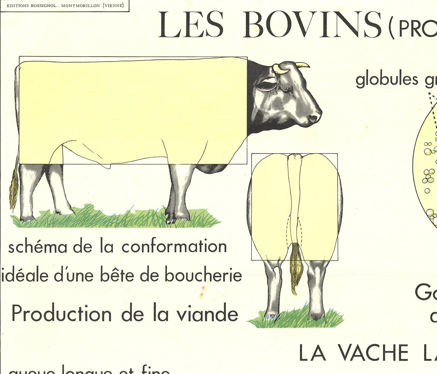 Emile Deyrolle Le Bovins (Production) " Offset Lithograph Conte