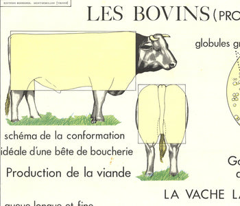 Emile Deyrolle Le Bovins (Production) 