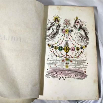 1849 J.J. Grandville Les Toiles 1St Edition Rare Hand-Colored Plates Leather