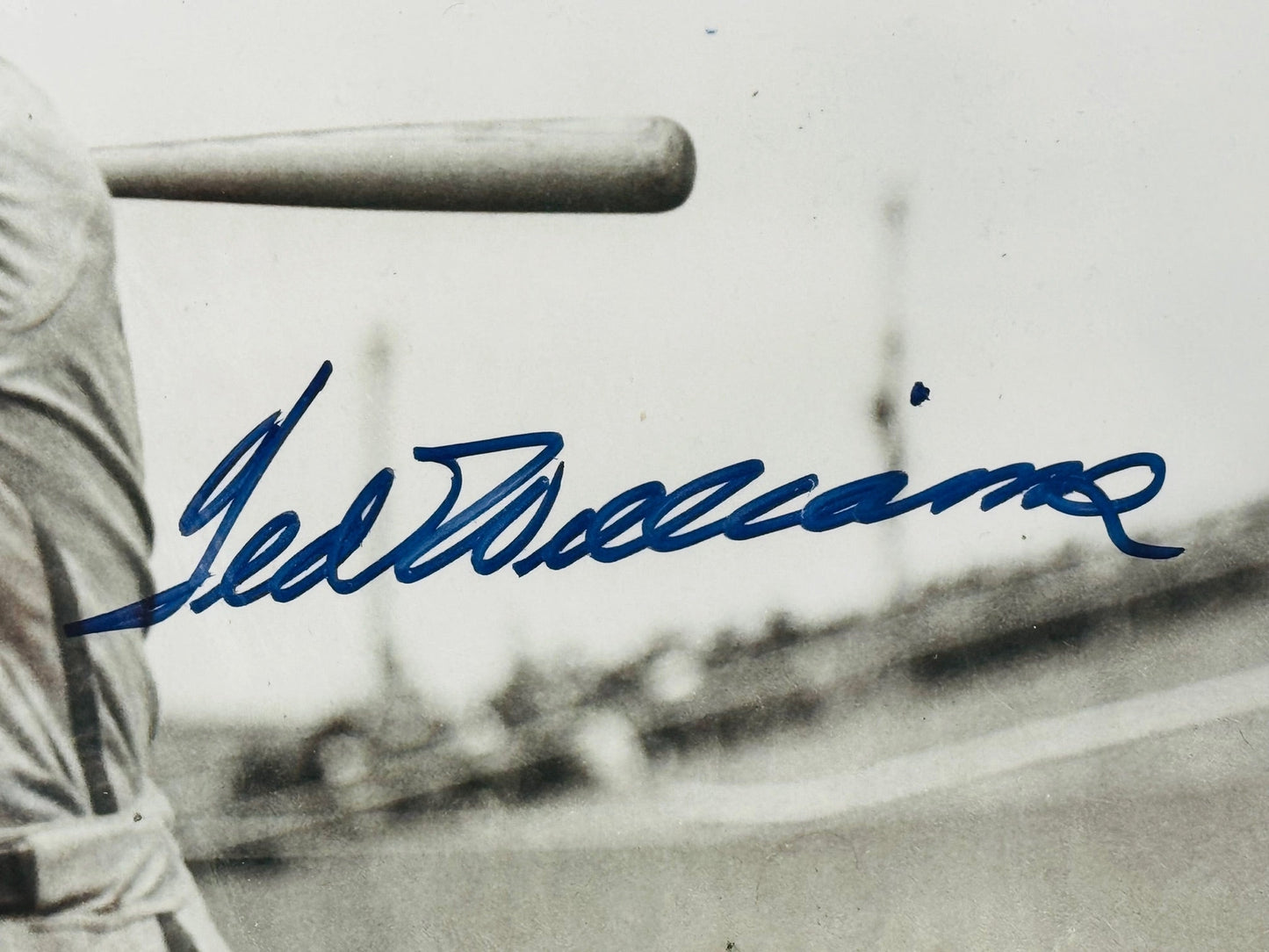 Ted Williams Signed Minneapolis Miller Posed Swing Framed 16X20 Photo (Green Dia