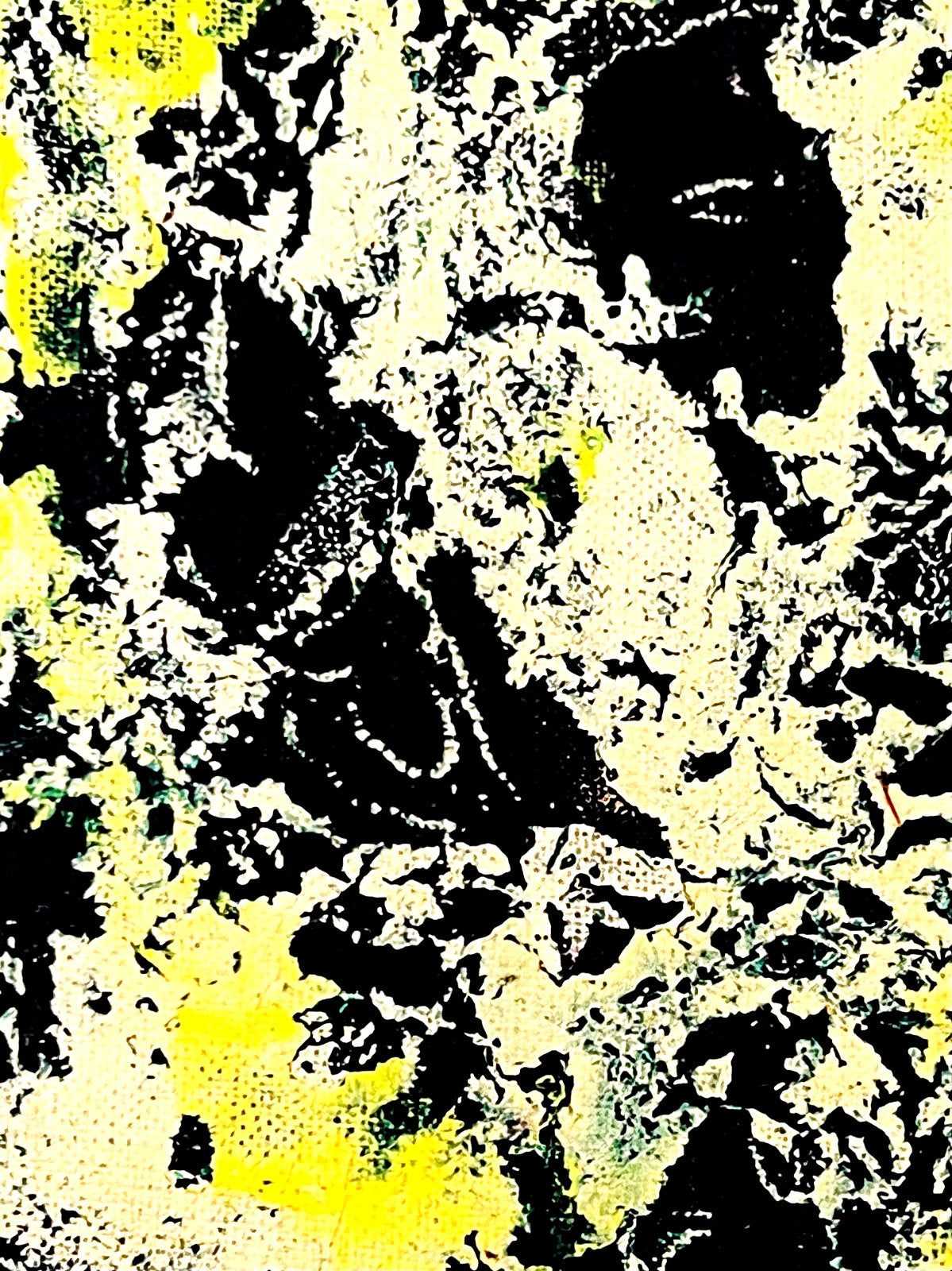 Jackson Pollock Action Painting Coa Signed Numbered By Hand. Eduardo Chillida