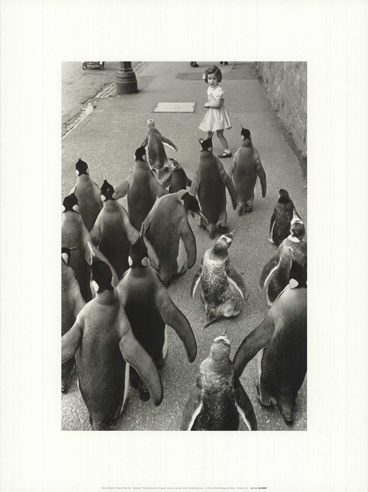 Werner Bischof Penguins Day Out " Offset Lithograph Photography Black