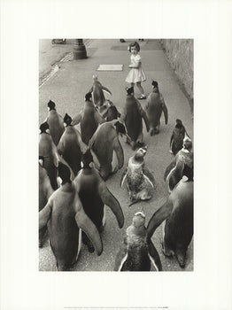 Werner Bischof Penguins Day Out 