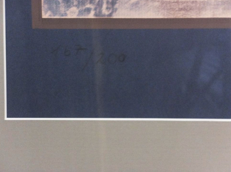 Ernst Fuchs Original Signed Silk Screen Print Salamander'S Shadow Austria Framed